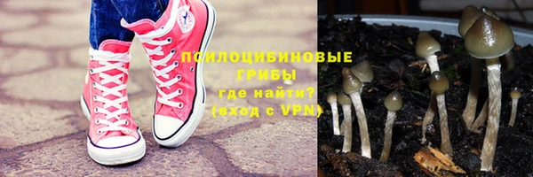 эйфоретик Алзамай