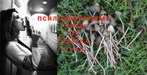 эйфоретик Алзамай